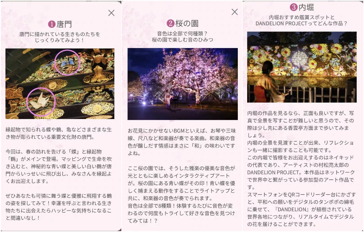 【二條城】NAKED FLOWERS 2024 櫻 世界遺産二條城光雕秀，穿上和服賞京都夜櫻! @混血珊莎的奇幻旅程
