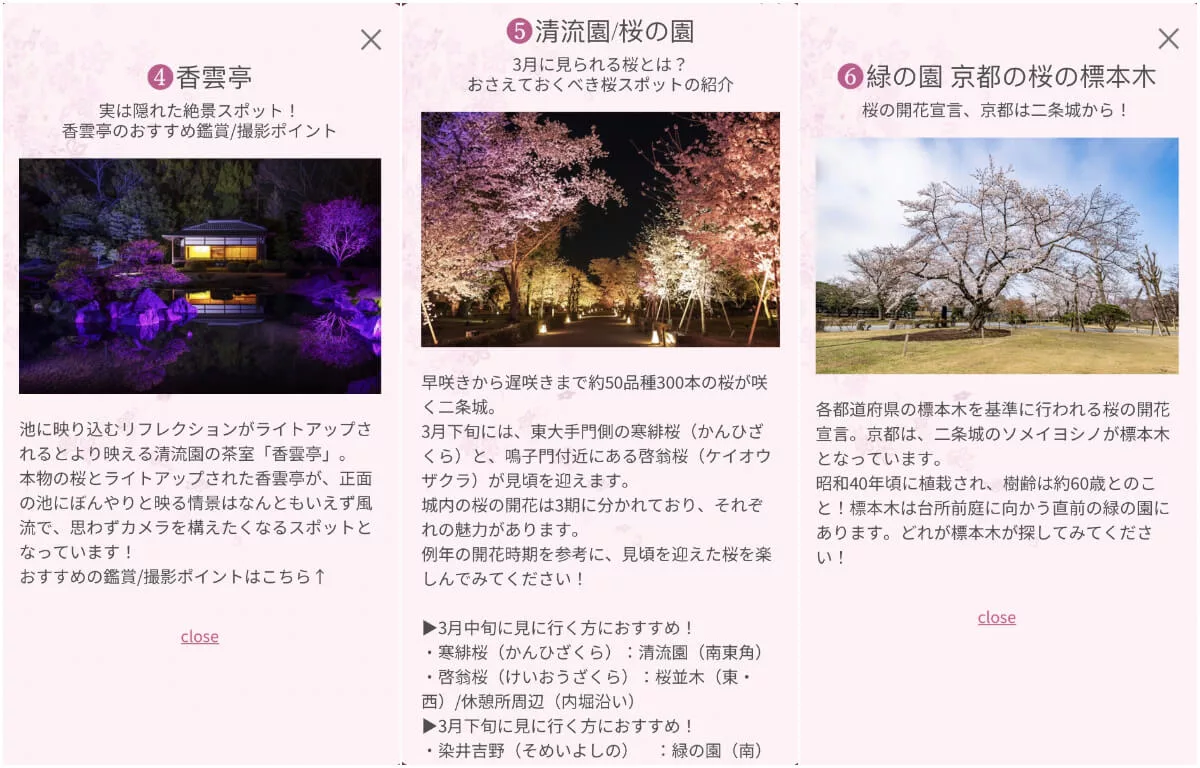 【二條城】NAKED FLOWERS 2024 櫻 世界遺産二條城光雕秀，穿上和服賞京都夜櫻! @混血珊莎的奇幻旅程