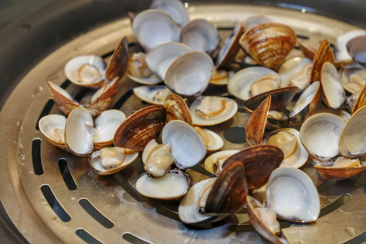【新莊海鮮餐廳】濤濤海鮮蒸氣鍋，將大海放進鍋內，管家桌邊服務免動手! @混血珊莎的奇幻旅程