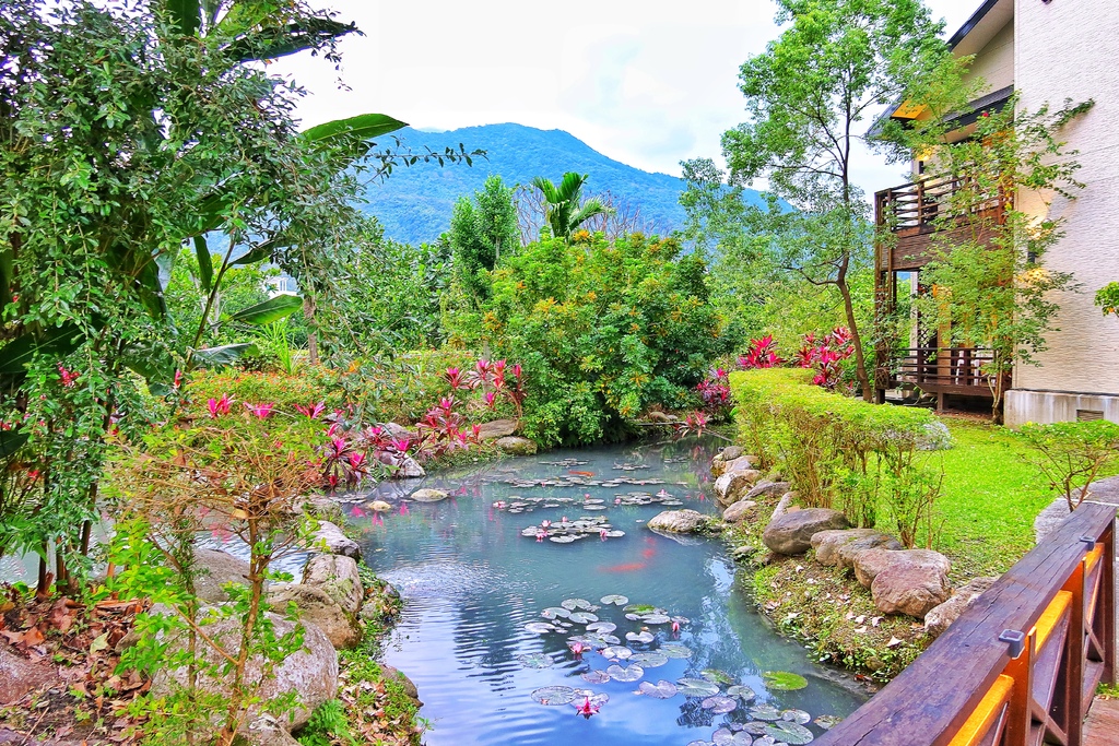 【金澤居】花蓮吉安鄉民宿推薦，森林系日式綠建築，享受綠意盎然庭園美景，放鬆的輕旅行! @混血珊莎的奇幻旅程